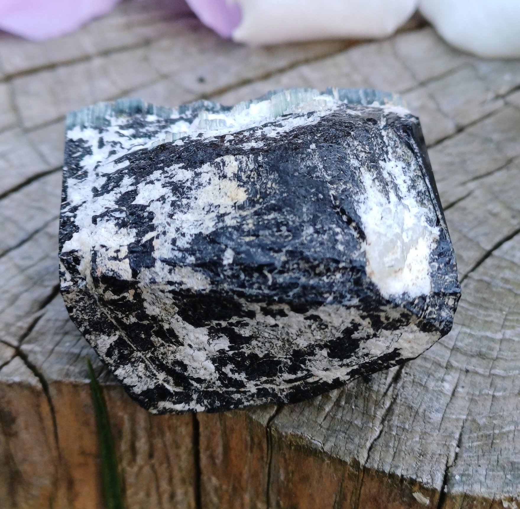 Elbait Madagaskar 41g