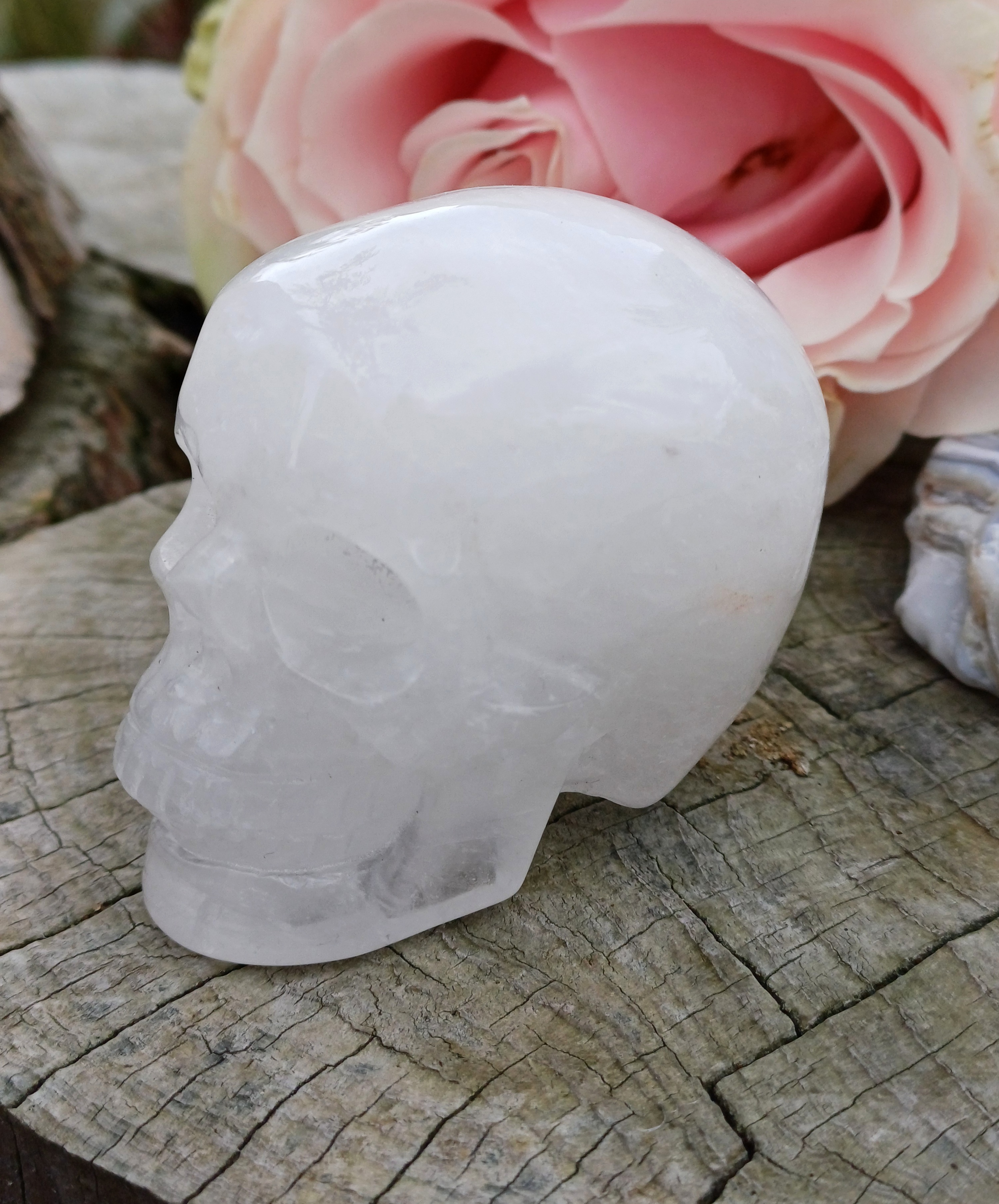 Lebka křišťál 132g