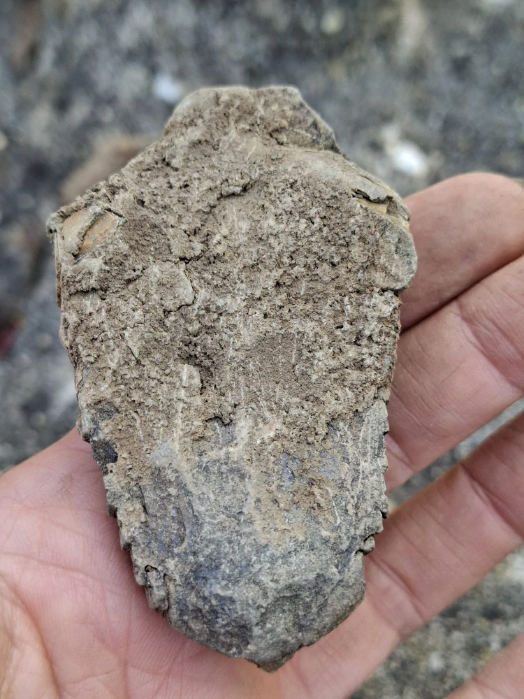Trilobit 70g