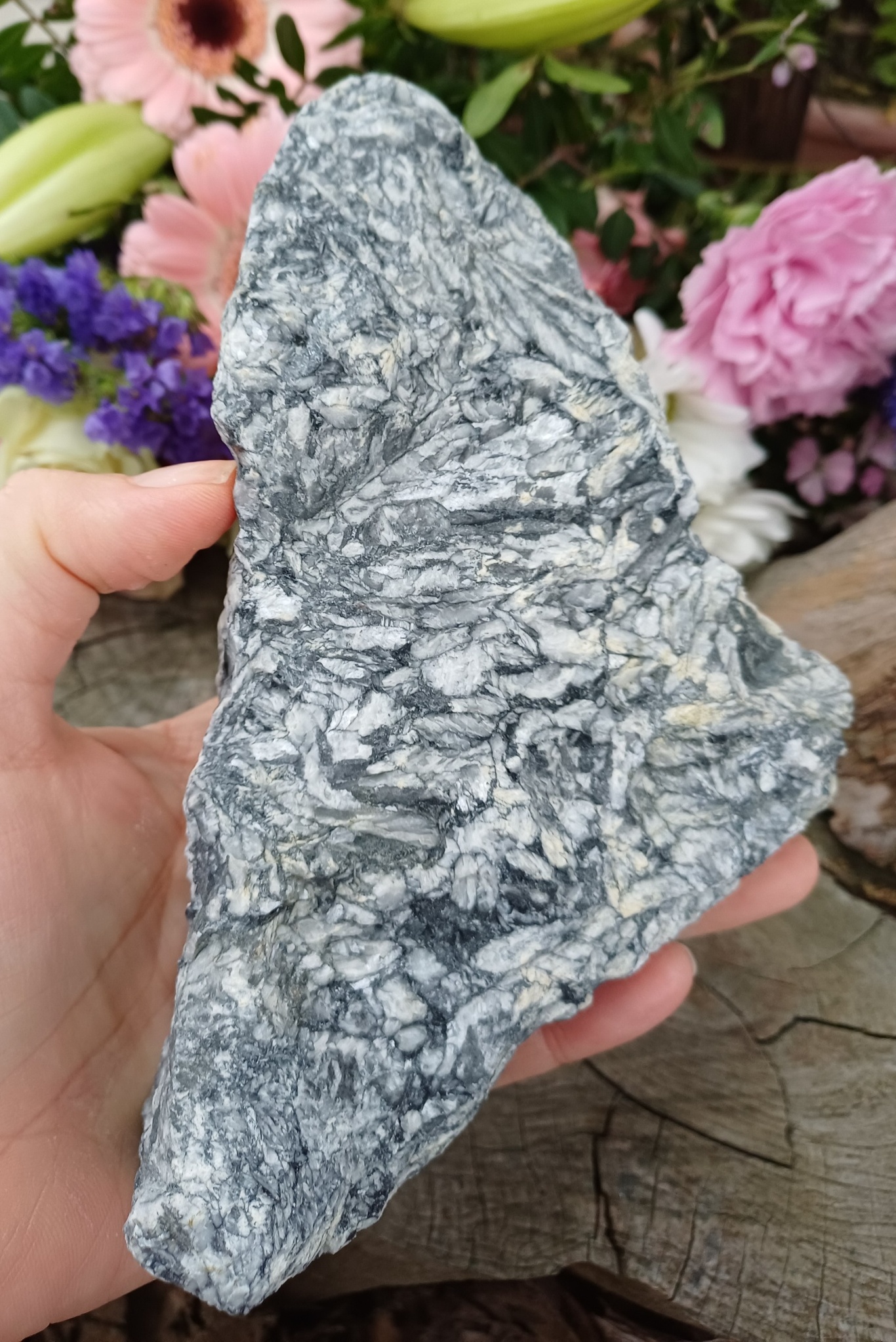 Pinolit leštěný řez 840g
