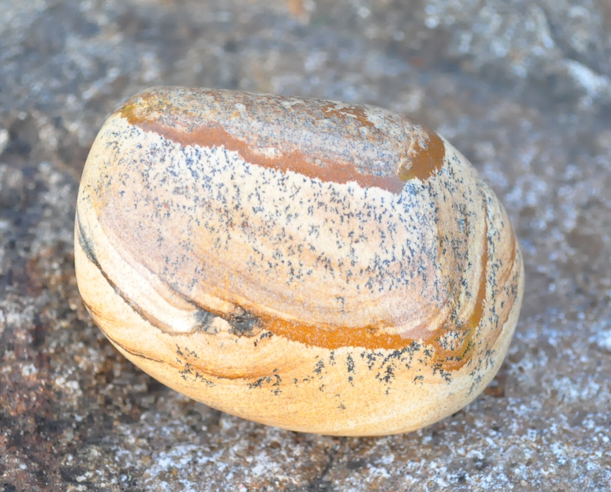 Jaspis obrázkový jumbo 255g