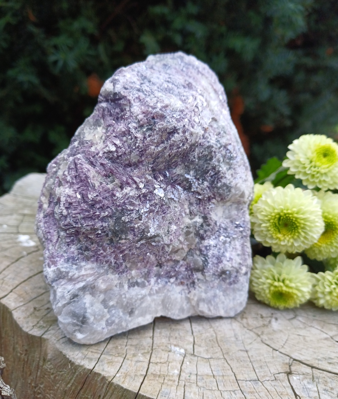 Lepidolit surový 2090g