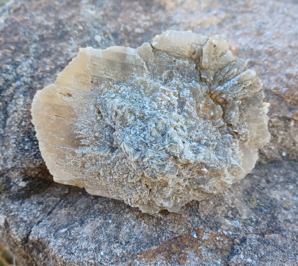 Sádrovec ČR 140g
