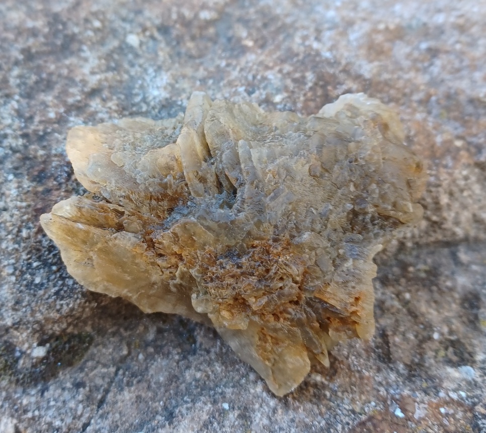 Sádrovec ČR 95g