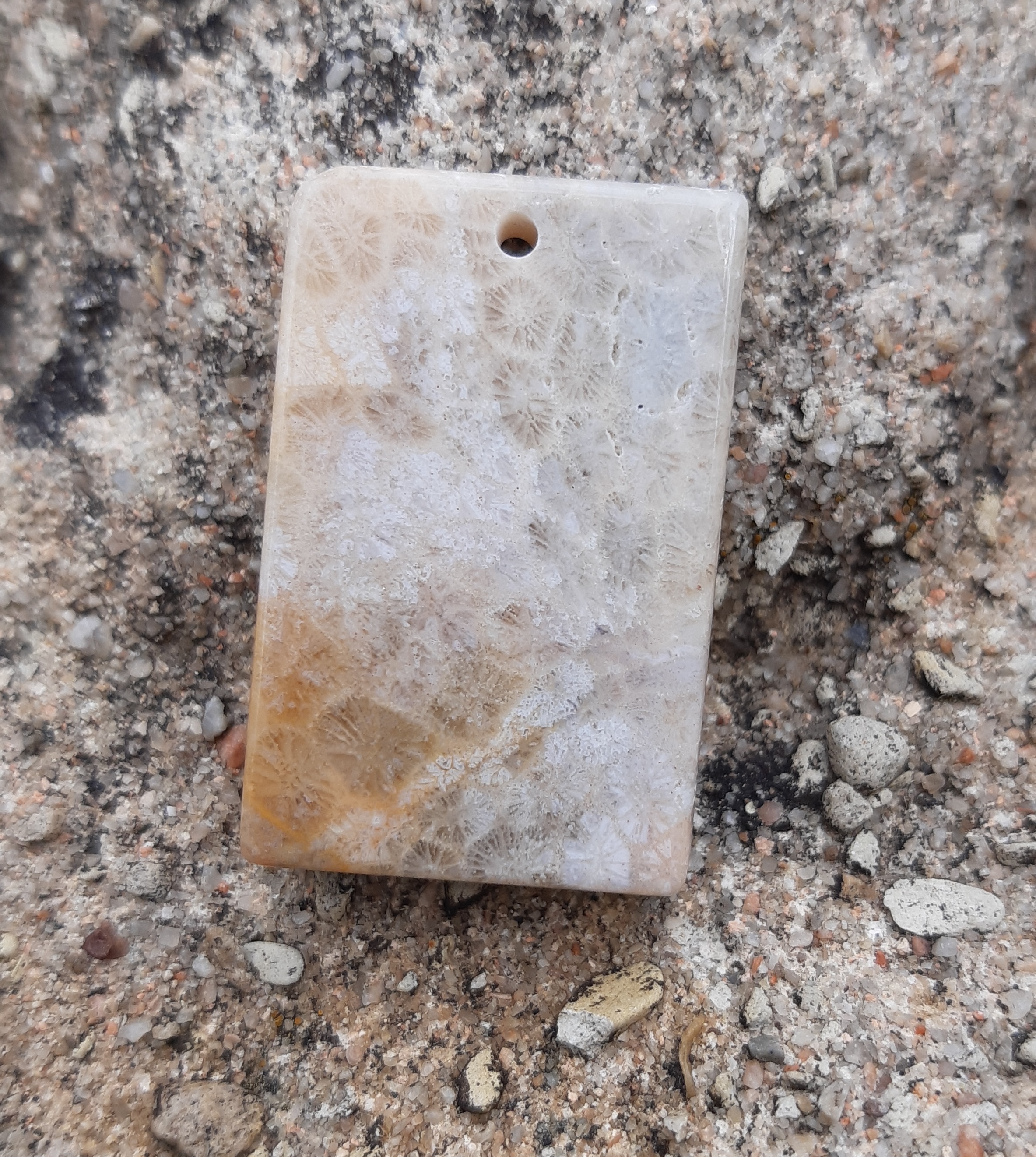 Fosilní korál přívěsek 12g