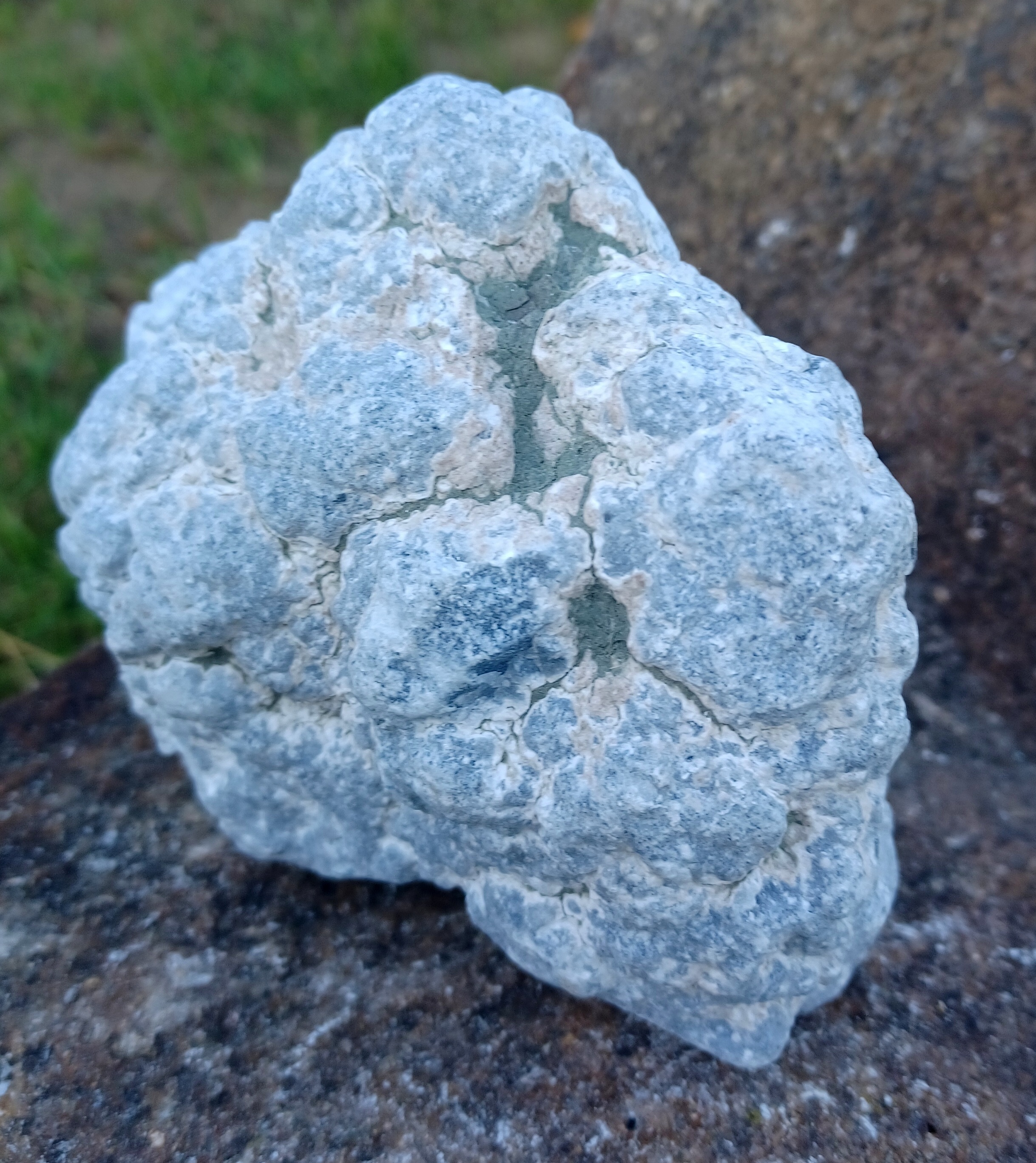 Angelit 1750g