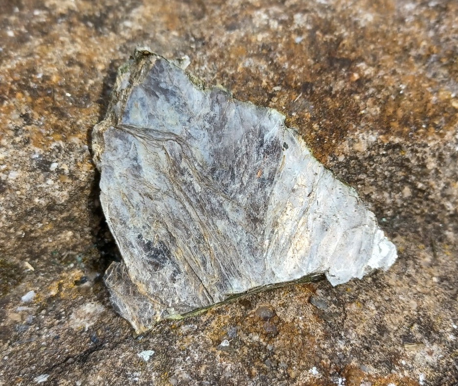 Muskovit 12g
