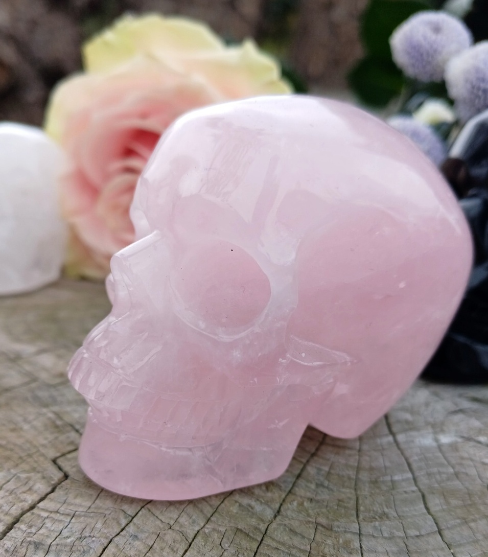 Lebka růženín 300g