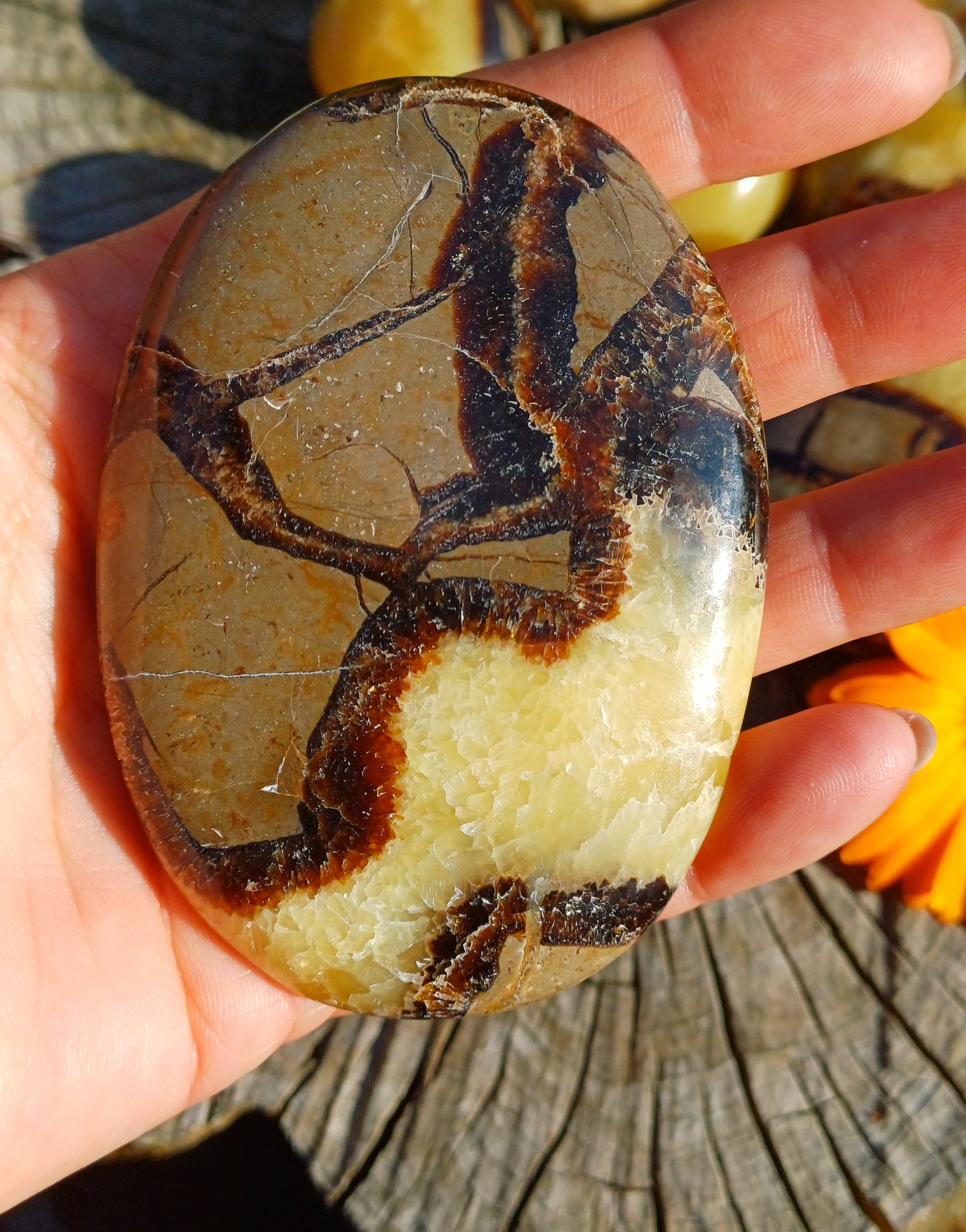 Septárie hmatka 115g