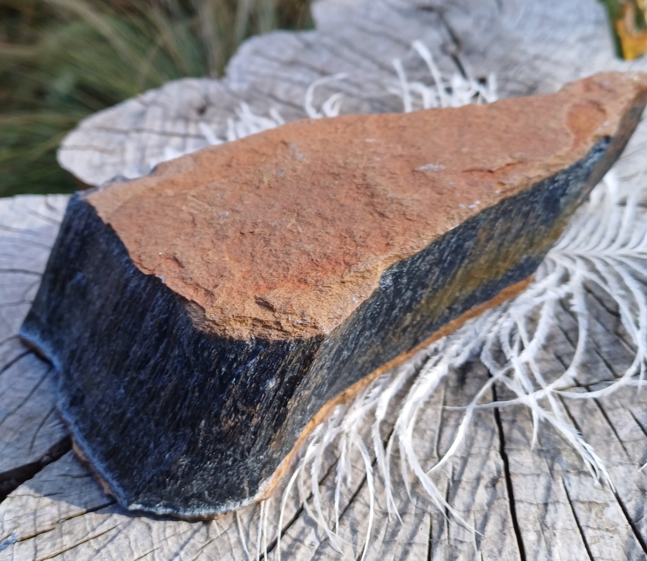 Sokolí oko 770g