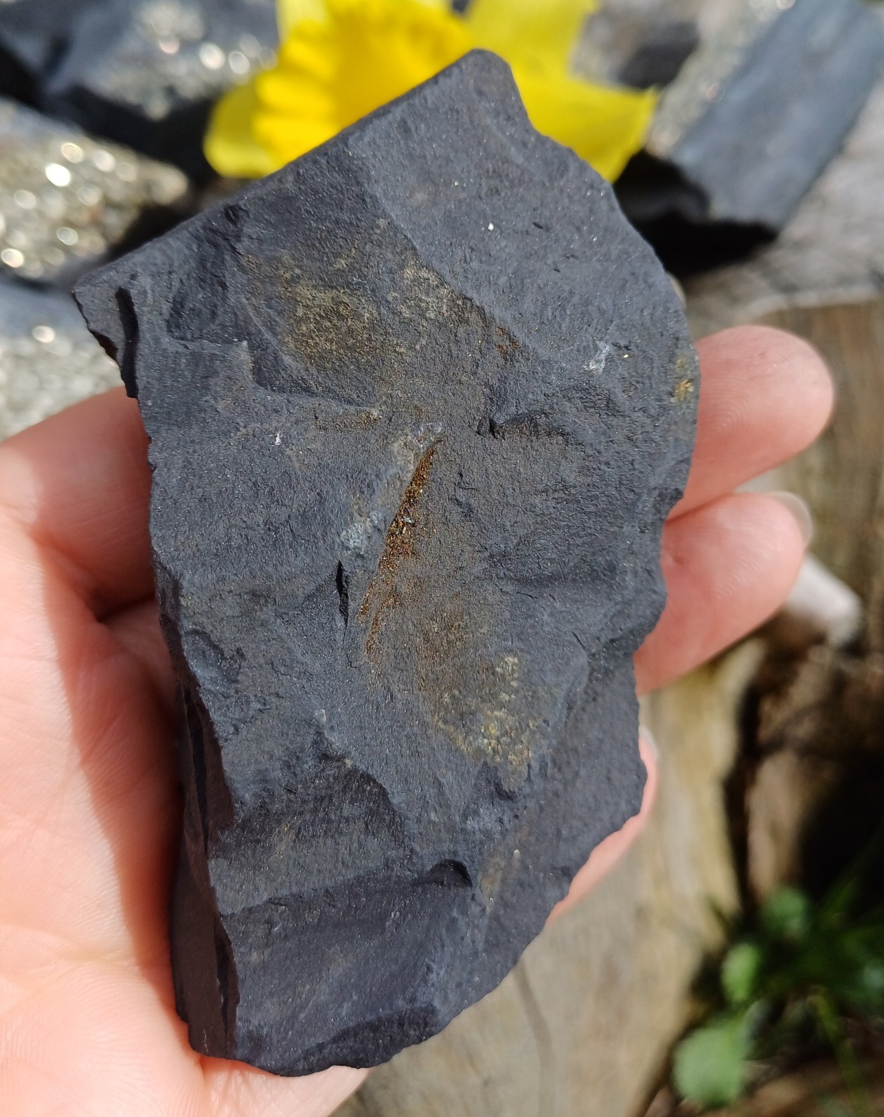 Pyrit na uhlí 130g