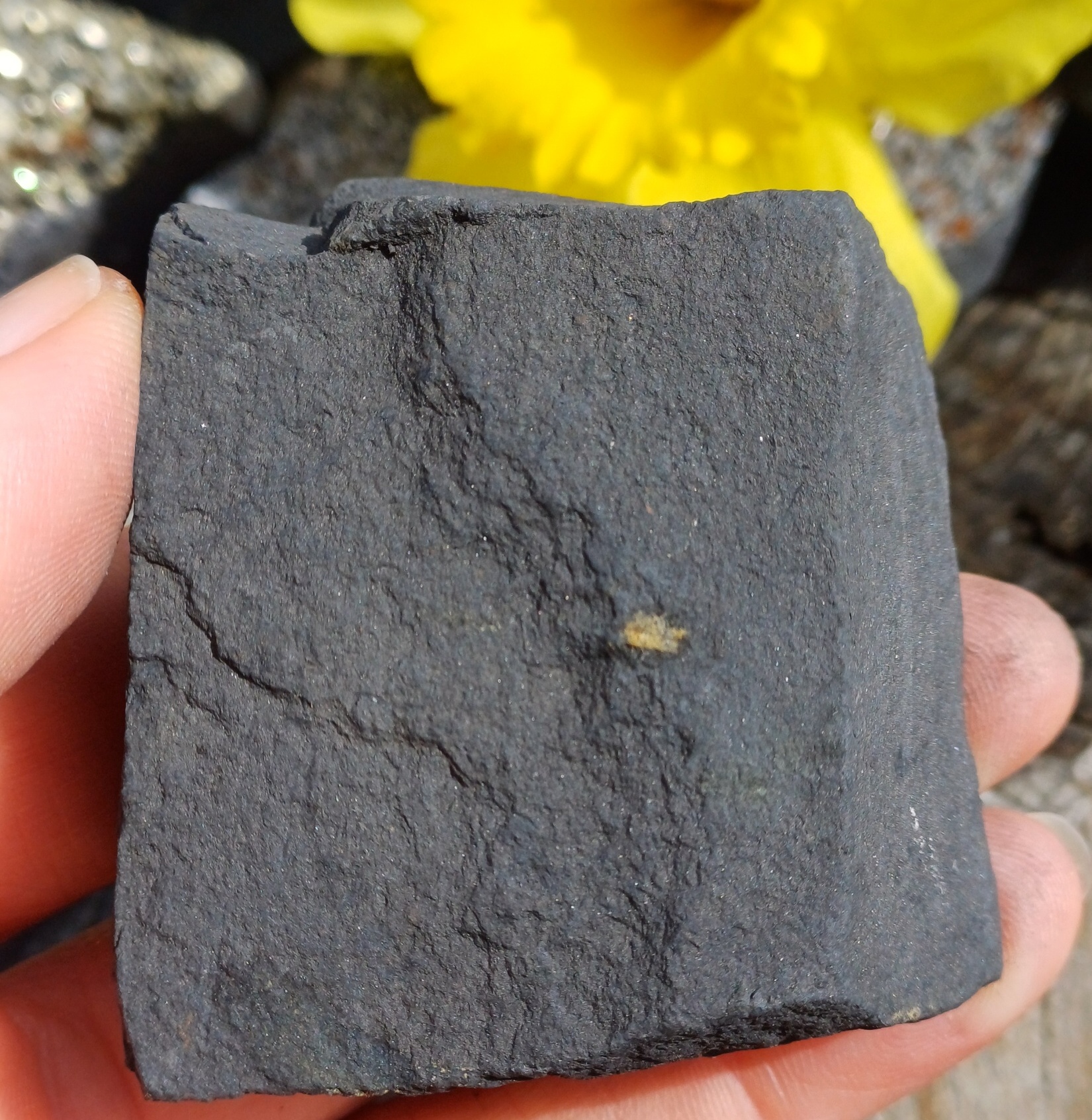 Pyrit na uhlí 110g