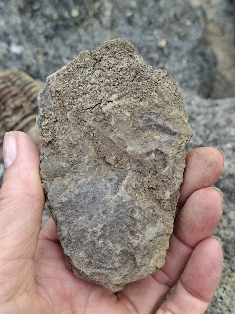 Trilobit 95g