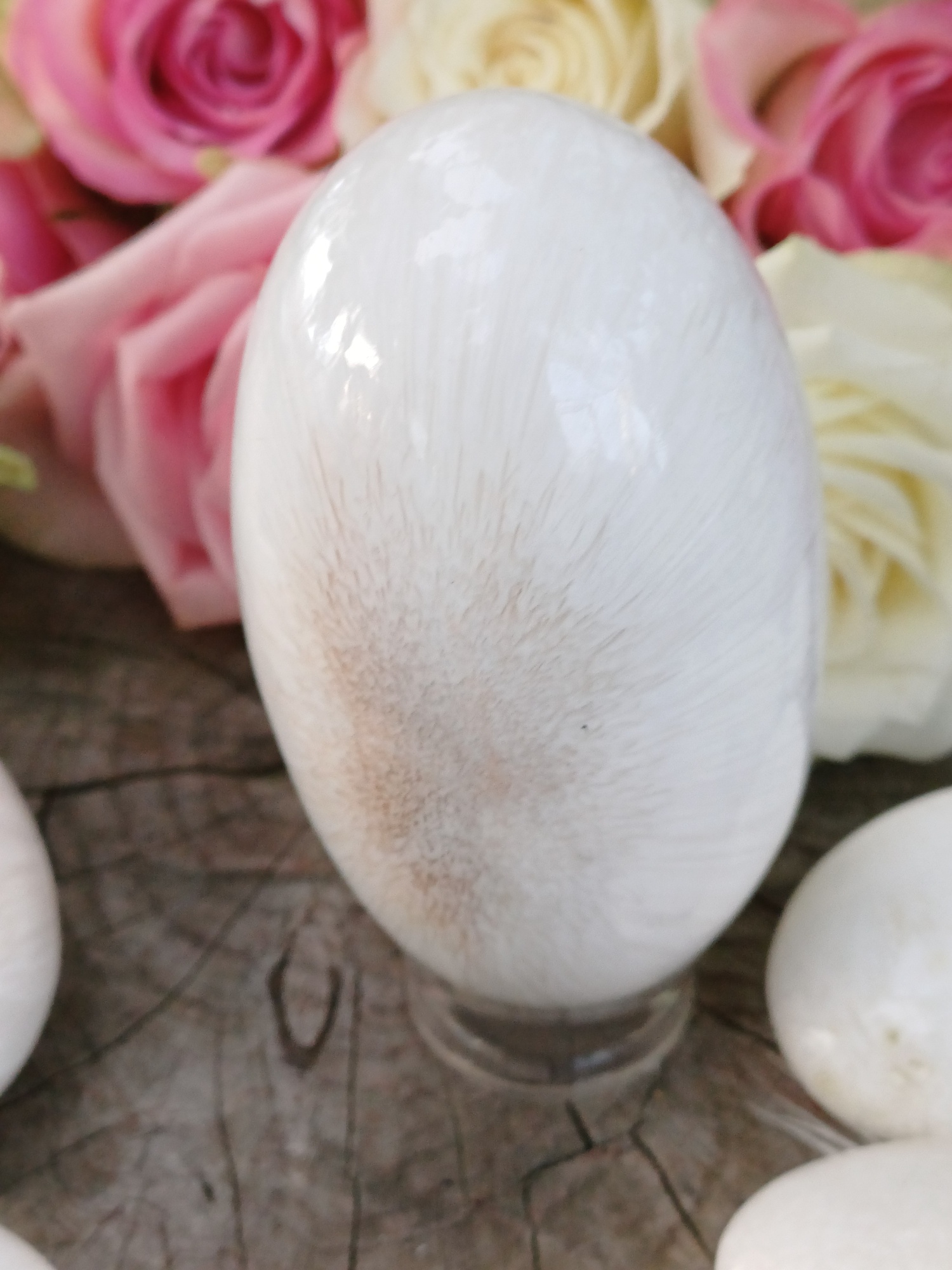 Skolecit hmatka vejce