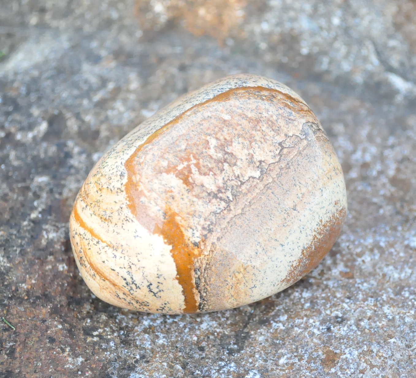 Jaspis obrázkový jumbo 255g