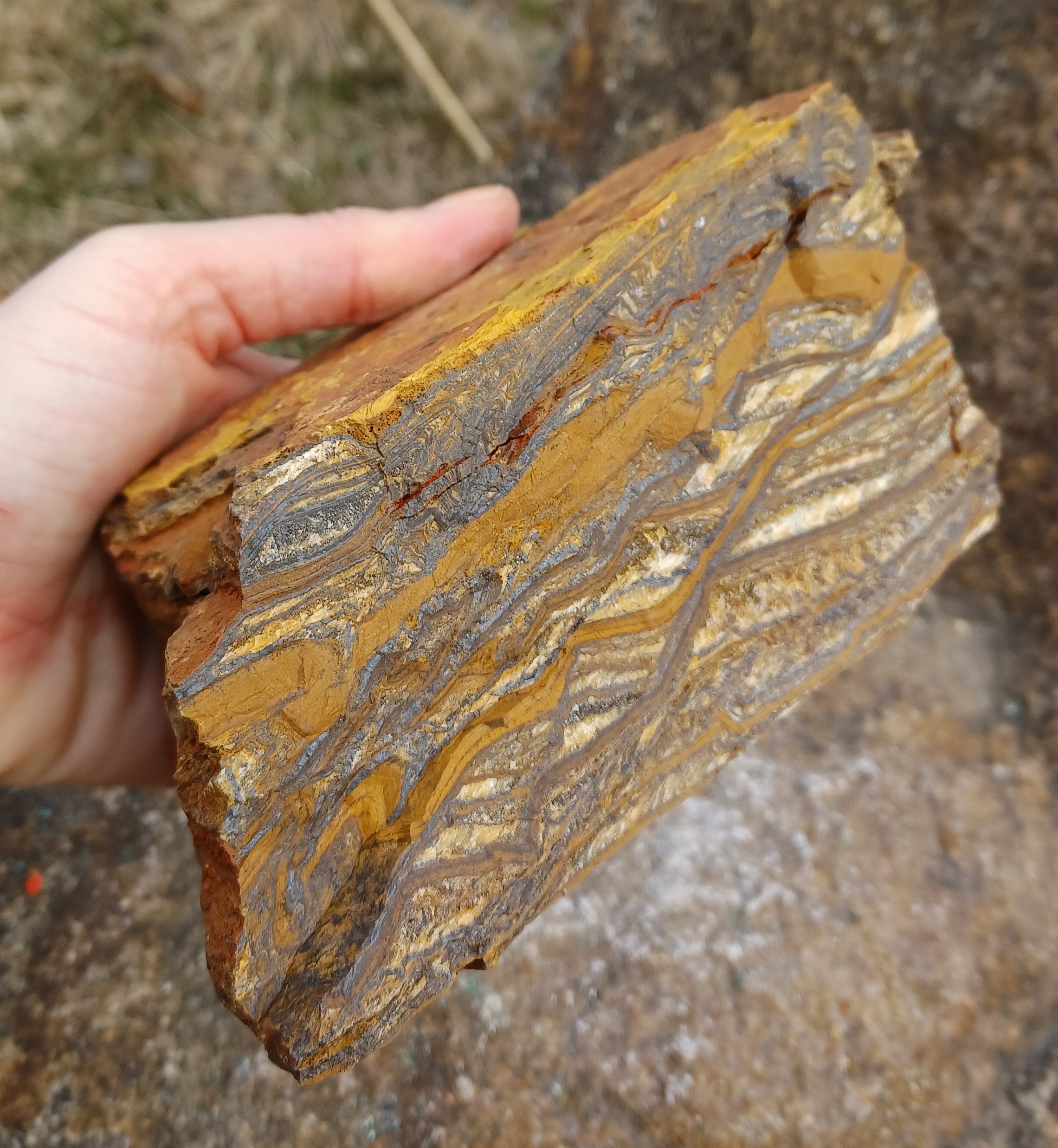 Tygří oko 1700g
