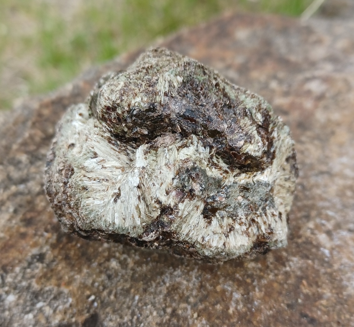 Heřmanovská koule 175g