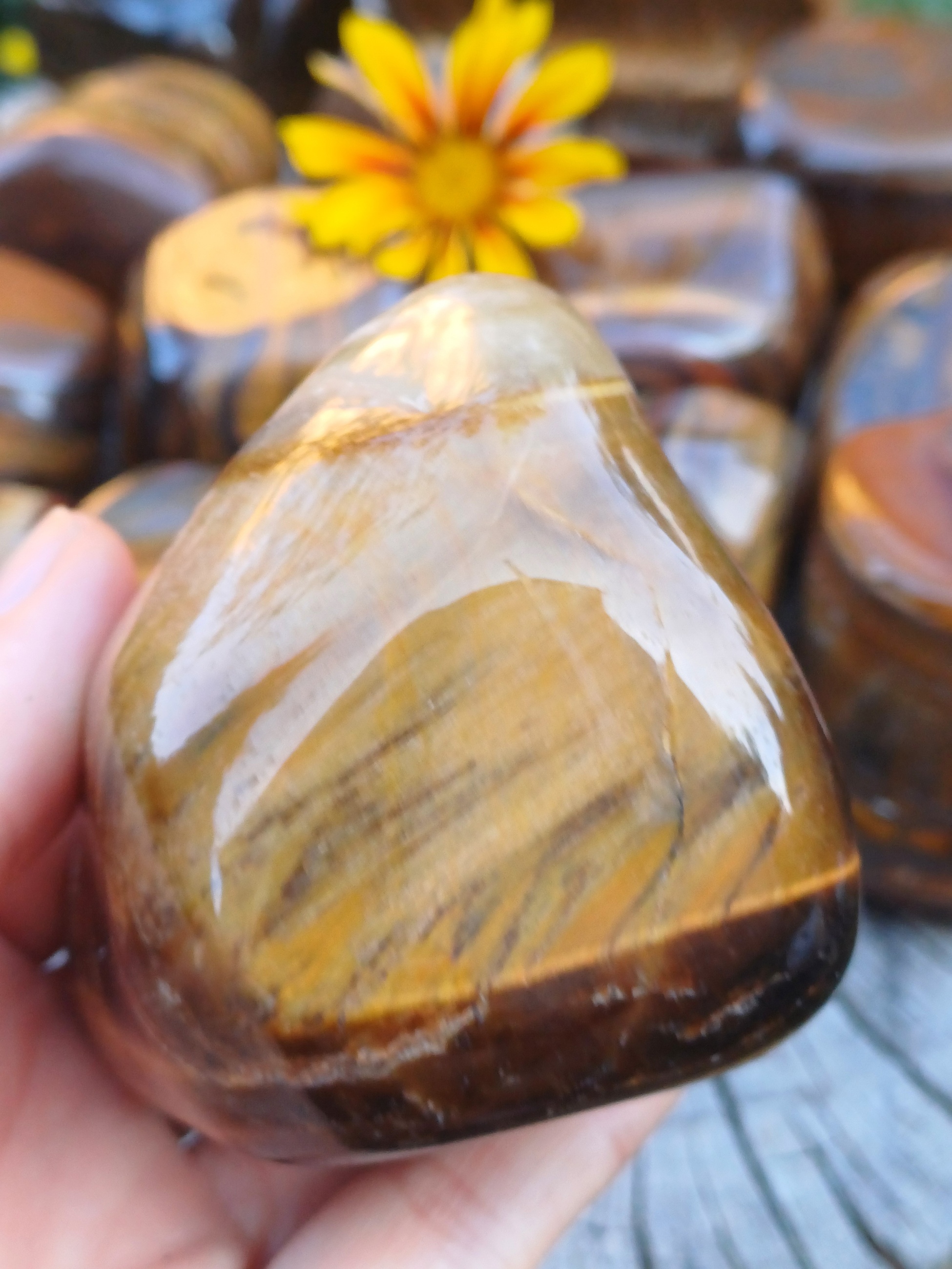 Tygří oko 310g
