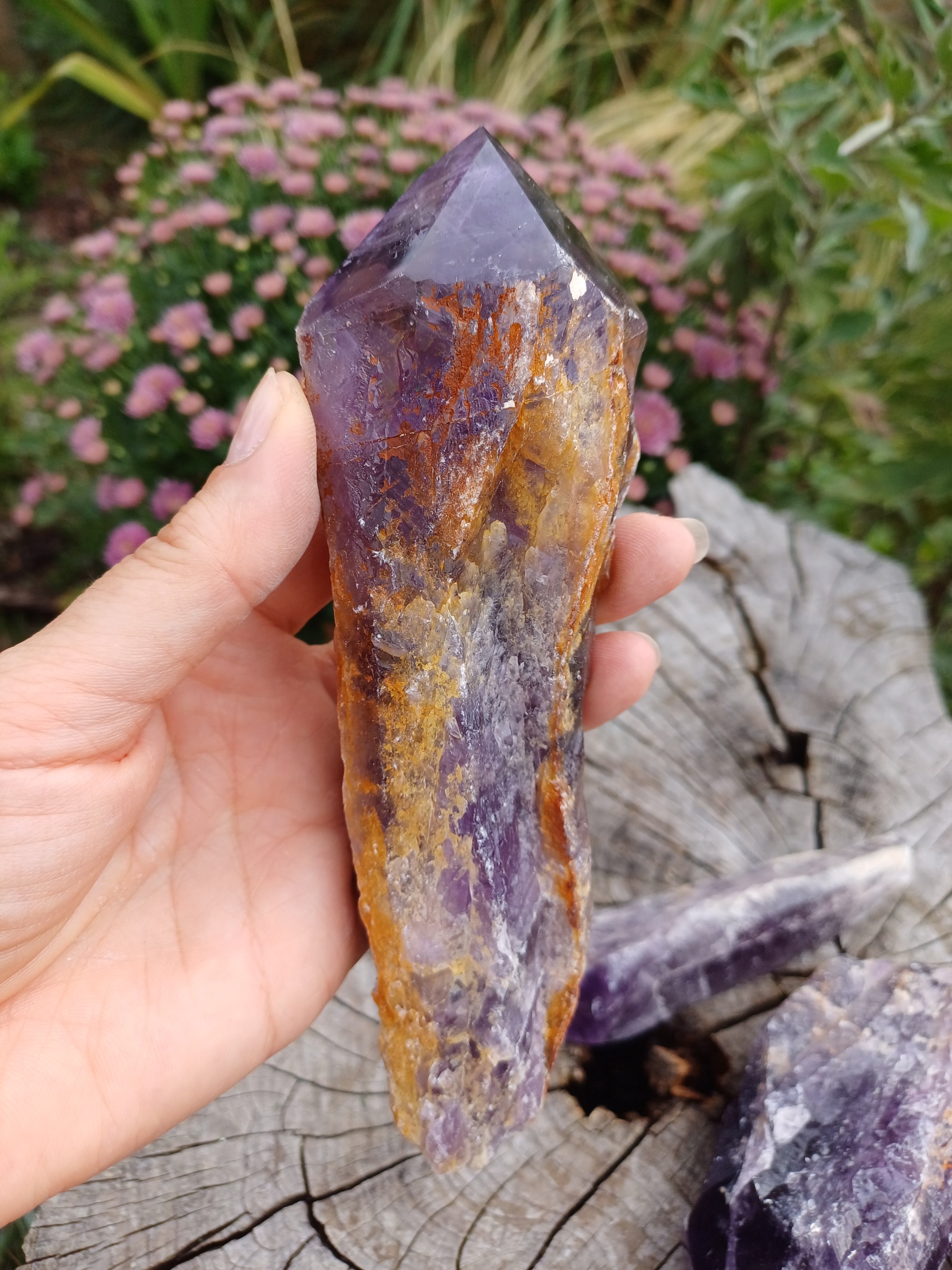  Ametyst špice extra kvalita 285g