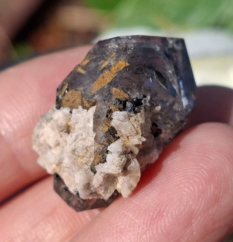Herkimer 6g