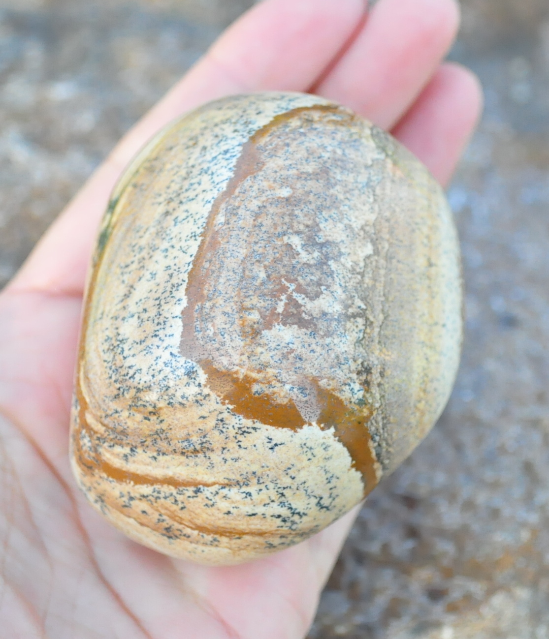 Jaspis obrázkový jumbo 255g