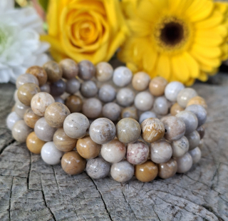 Fosilní korál náramek 