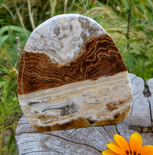 Aragonit leštěný řez 460g