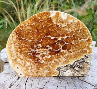 Aragonit leštěný řez 650g
