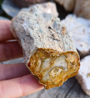 Zkamenělé dřevo 120g