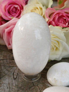 Skolecit hmatka vejce